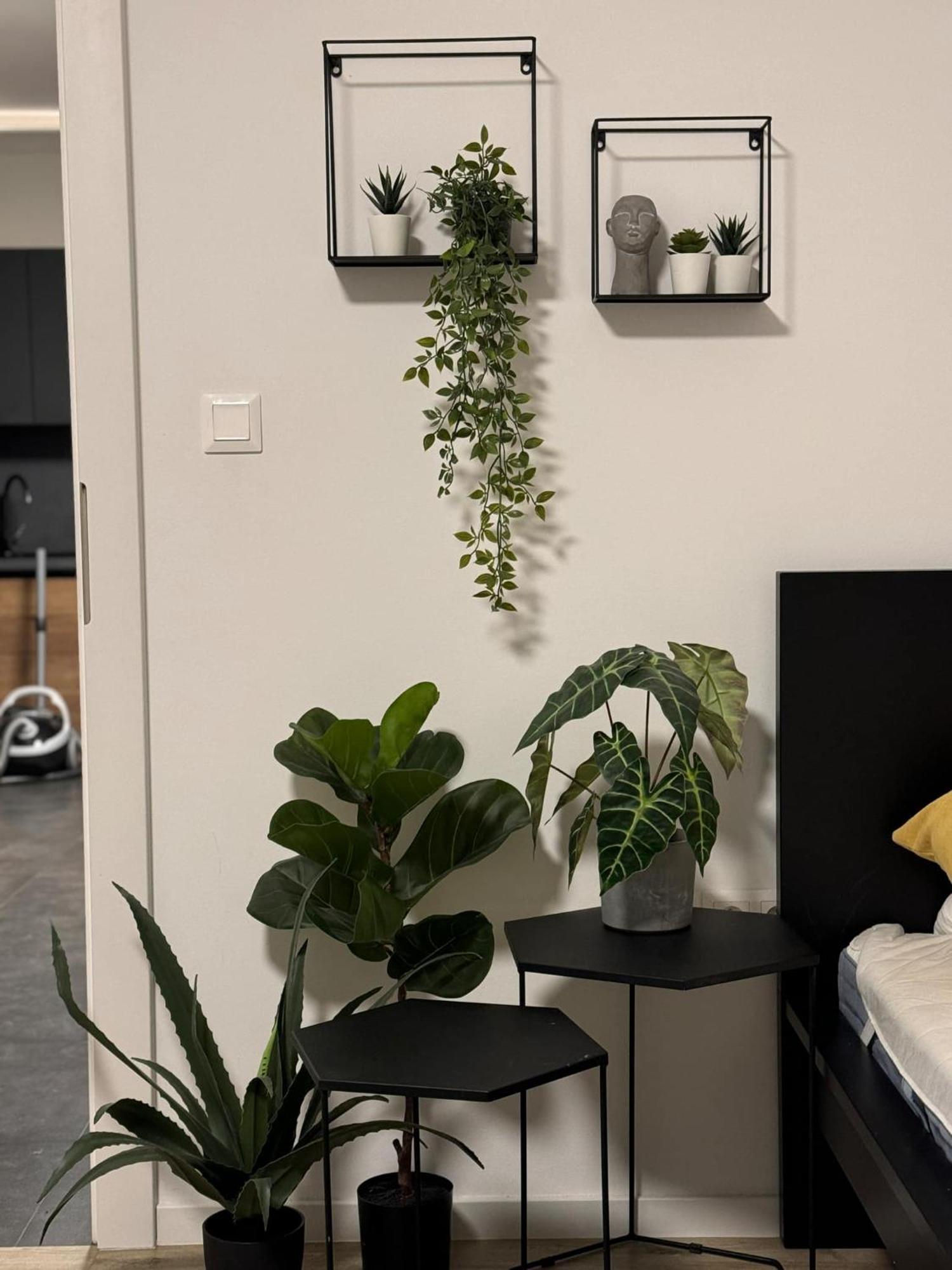 Apartmány Elli Mýto pod Ďumbierom Exterior foto